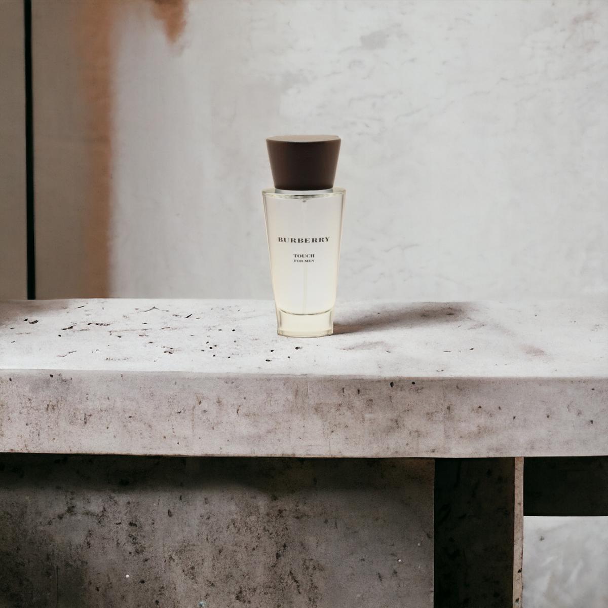 Burberry Touch Men Eau De Toilette Spray - 3.3 fl. oz. | HSN