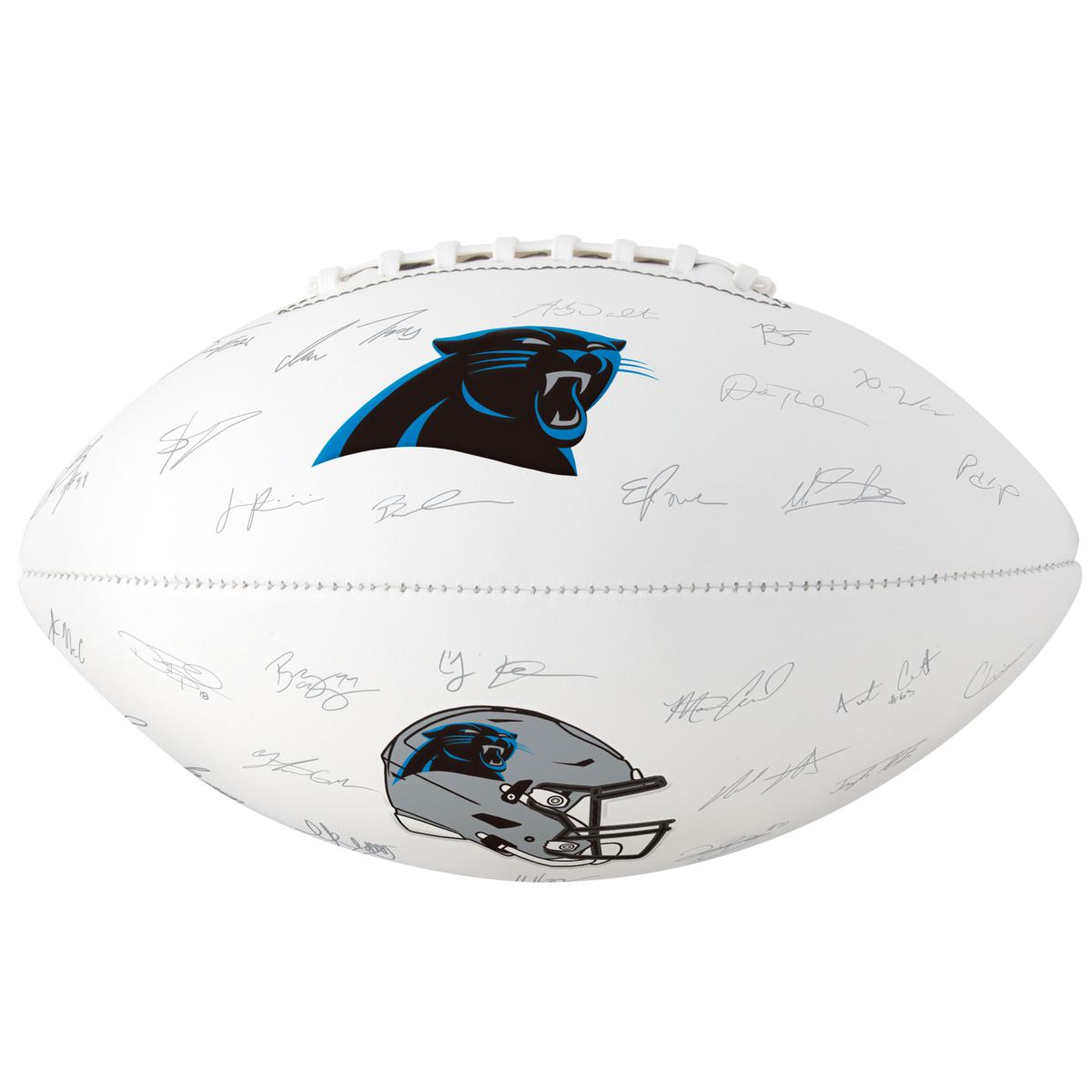 Carolina Panthers Retro Team Name Logo Vinyl Decal PICK COLOR