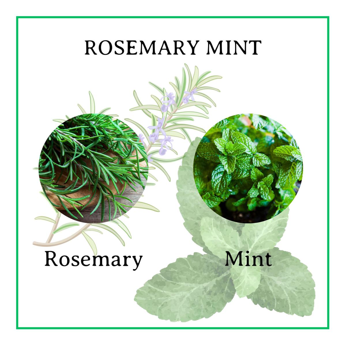 Lotion - Rosemary Mint