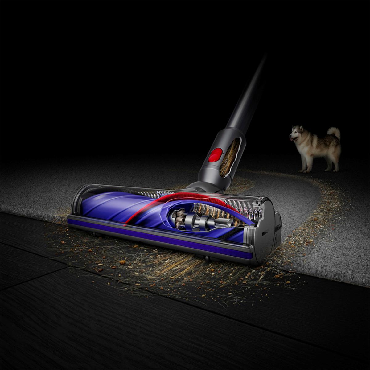 Dyson on sale V8