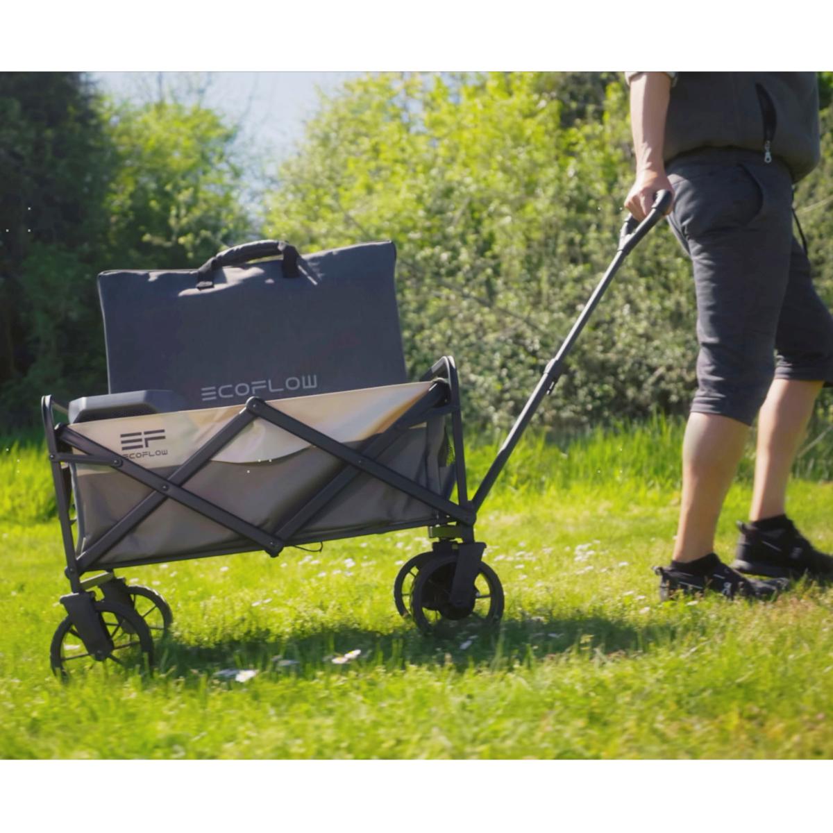 EcoFlow Delta 3 Power Station with 160W Solar Panel and Folding