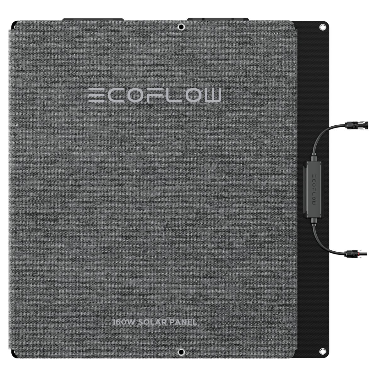 EcoFlow DELTA Pro Power Station with 160W Solar Panel | HSN