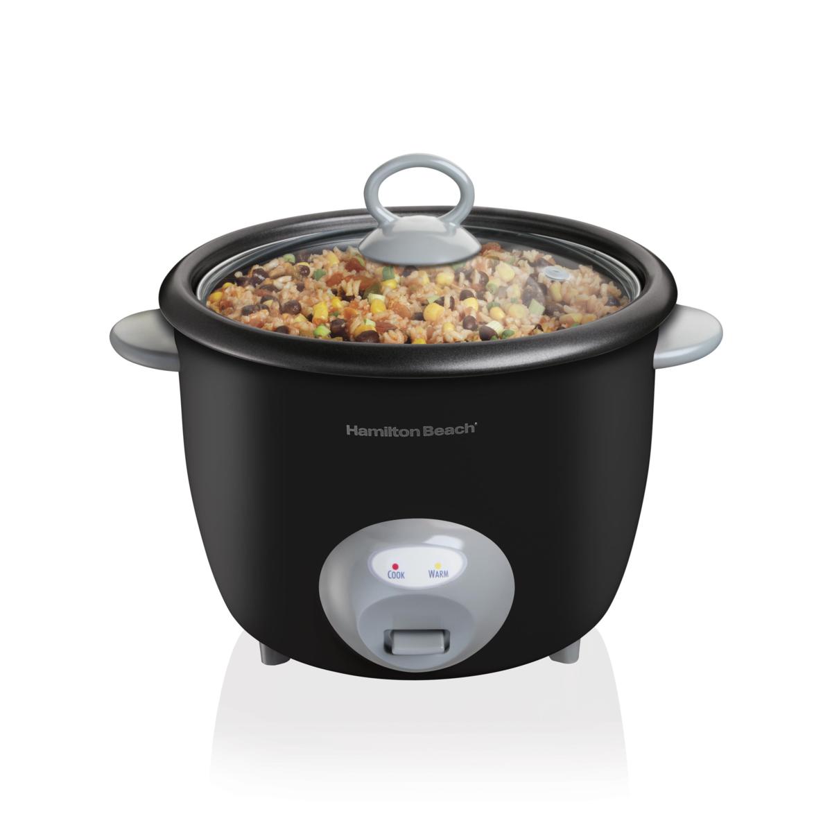 holstein rice cooker with steamer