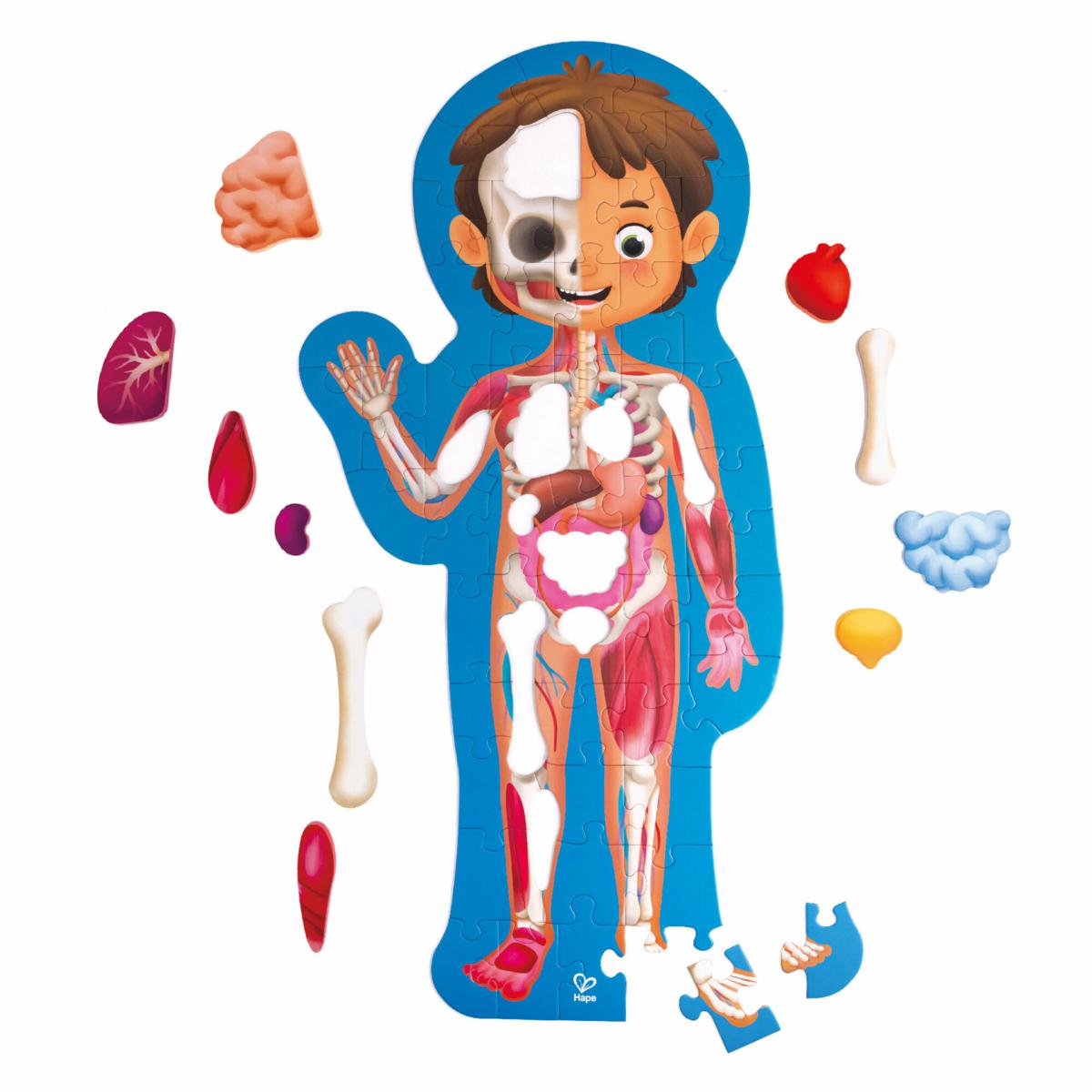 Hape Human Body Puzzle - Anatomy Jigsaw, 60 Oversized Pieces - 23106809 ...