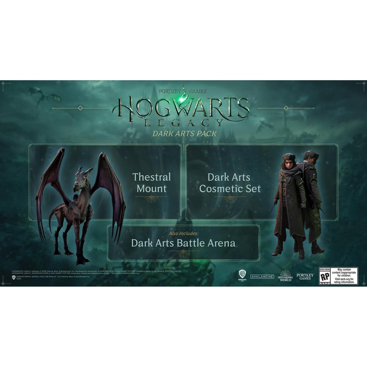 Hogwarts Legacy – Playstation 4