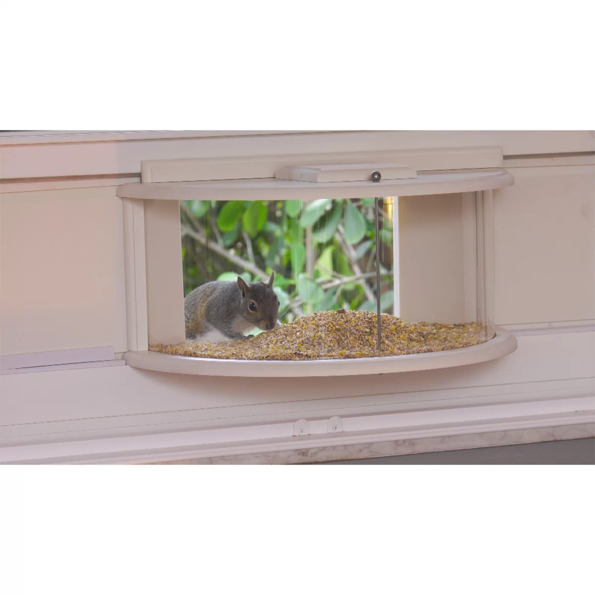 Improvements 180 Degree View Window Bird Feeder - 21654007 | HSN