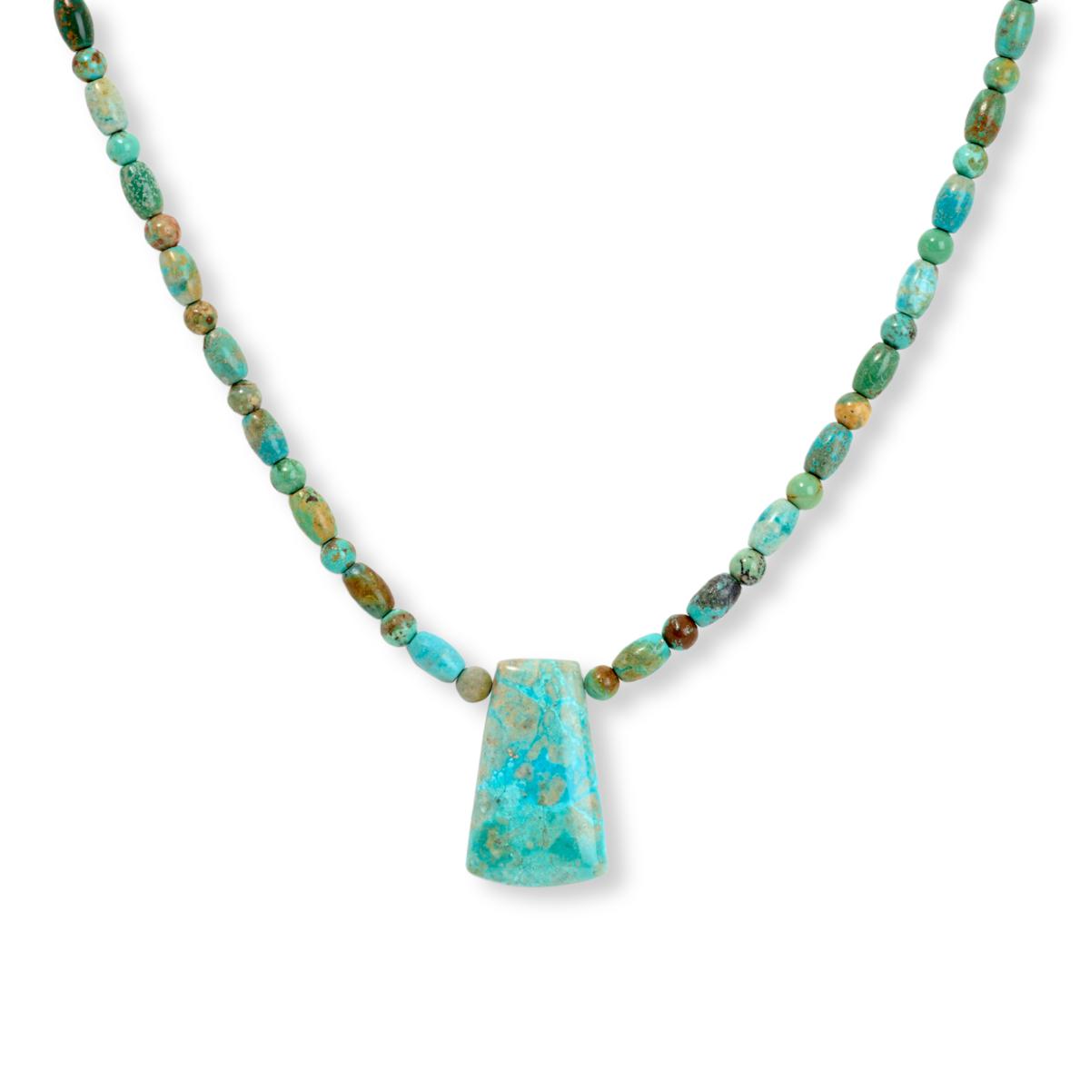 Jay King Spruce Mountain Turquoise Sterling Silver Drop Necklace | HSN
