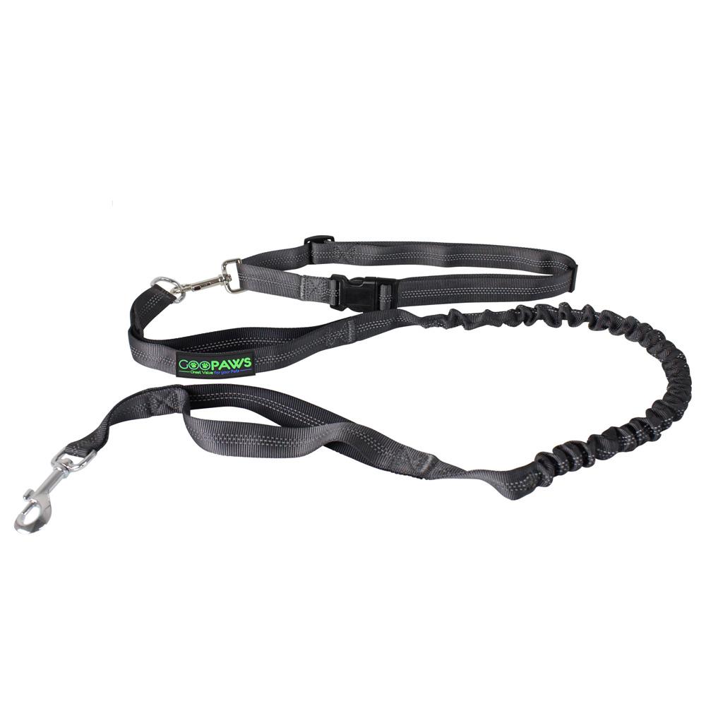 Jespet HandsFree Bungee Leash 20786196 HSN
