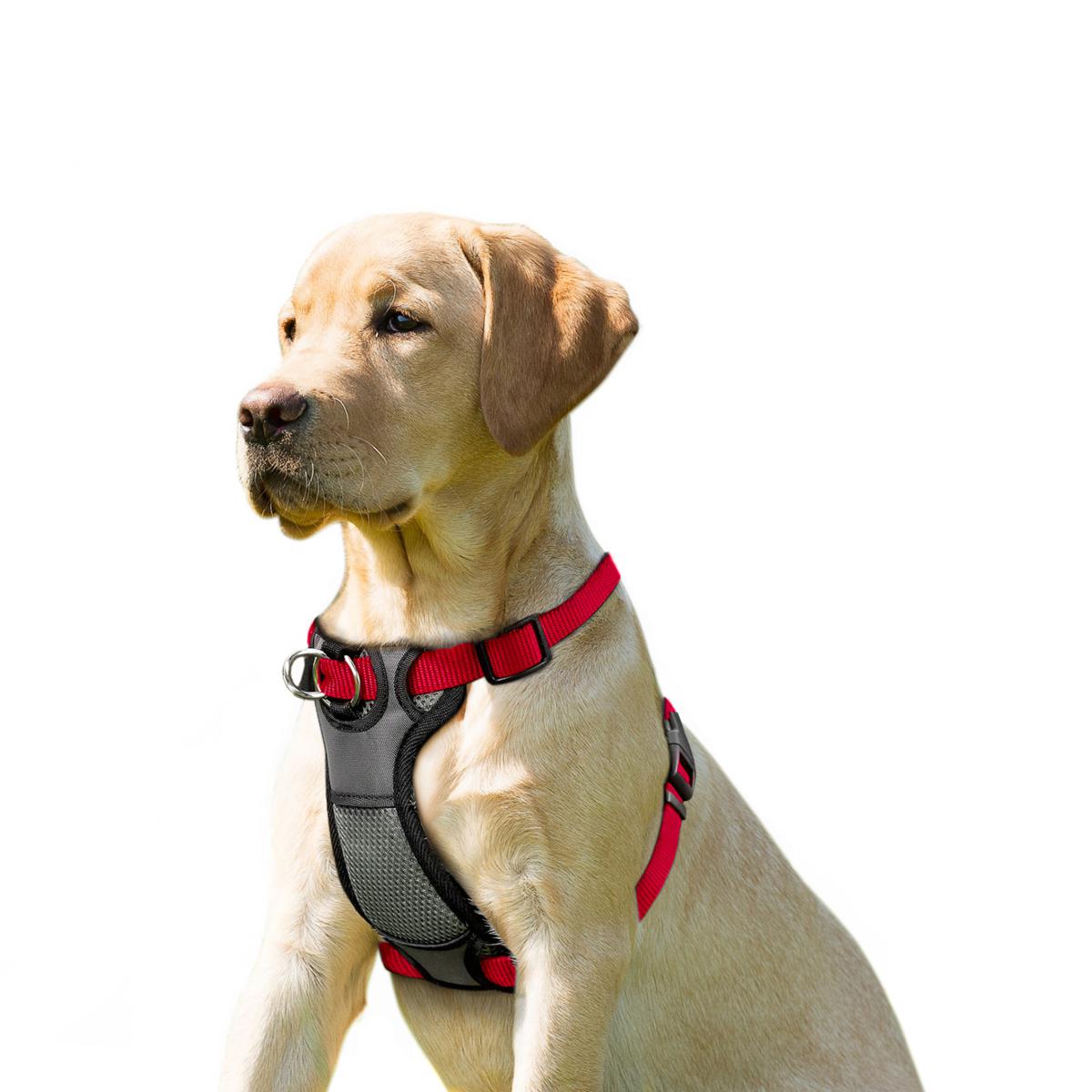 https://i03.hsncdn.com/is/image/HomeShoppingNetwork/rocs1200/jespet-padded-front-dog-harness-d-20221103142125007~20786199w_alt3.jpg