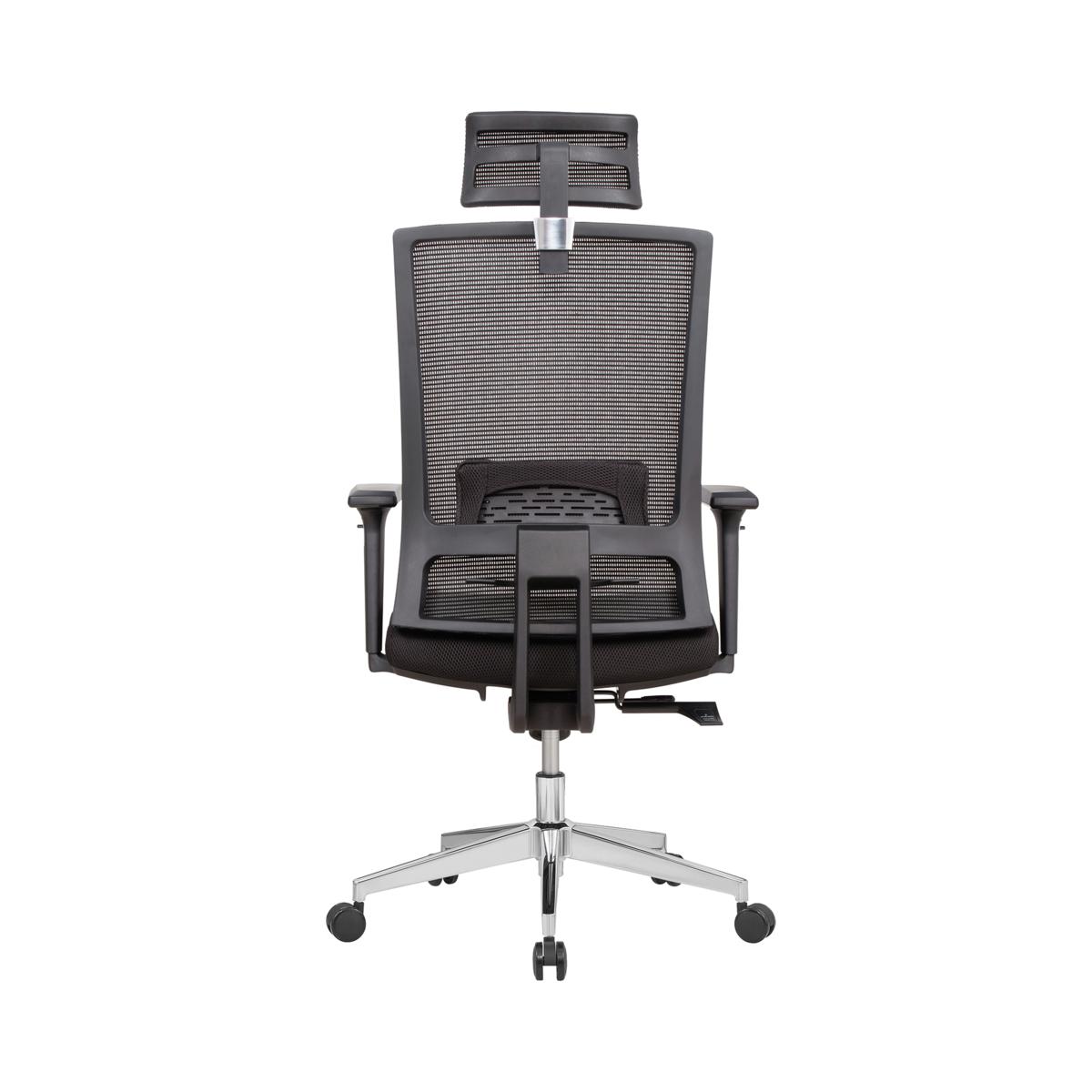 US OFFICE ELEMENTS Ergonomic Office Chair: Head Rest & Lumbar Support