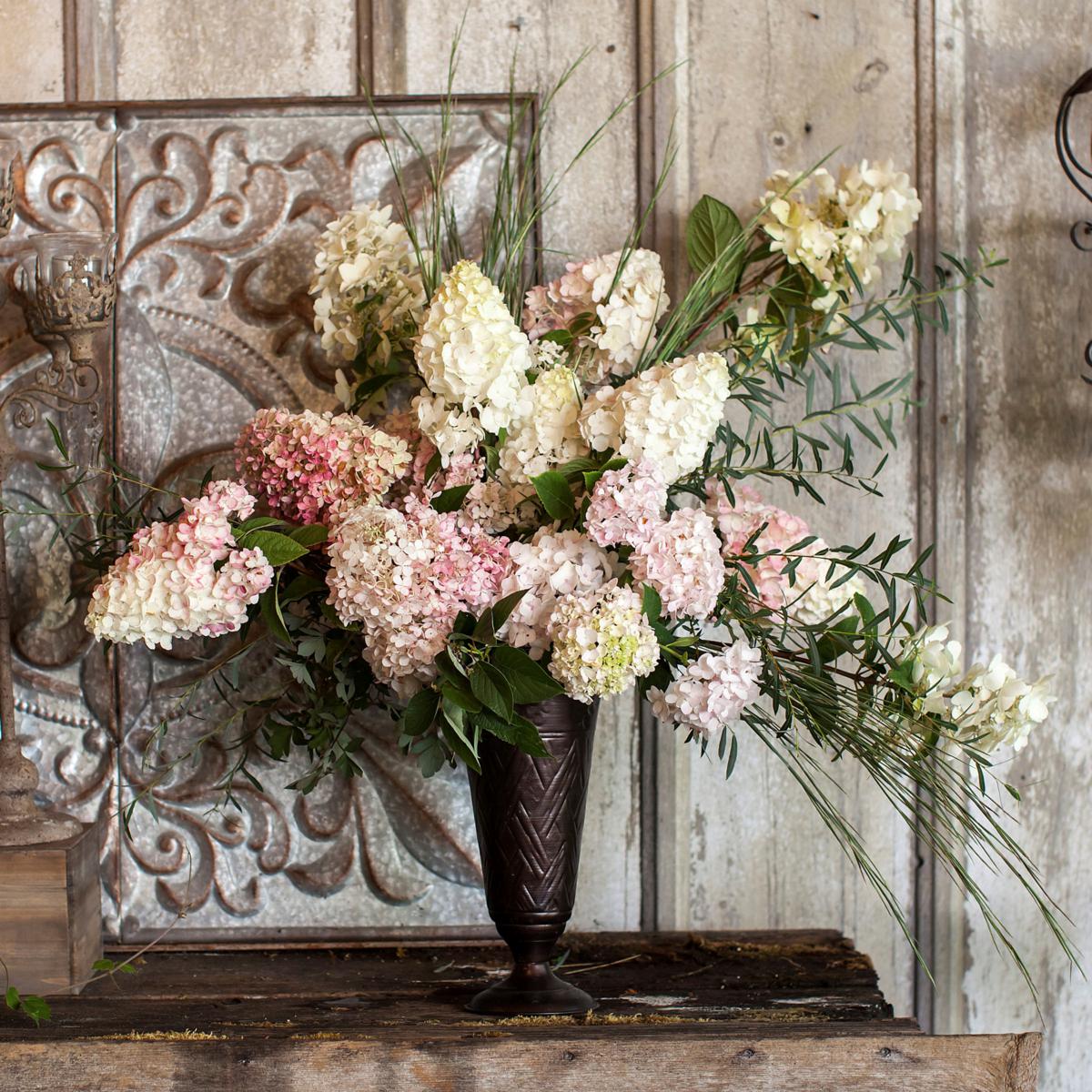 Leaf & Petal 1-Piece Strawberry Sundae Hydrangea | HSN