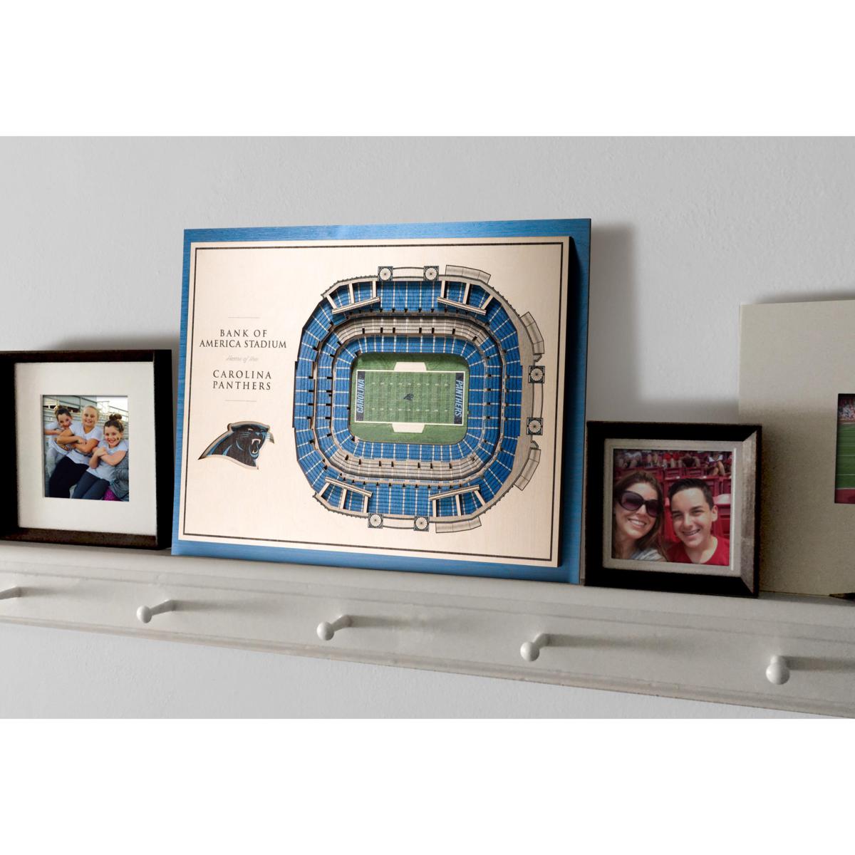 NFL Carolina Panthers StadiumViews Wall Art- Bank of America