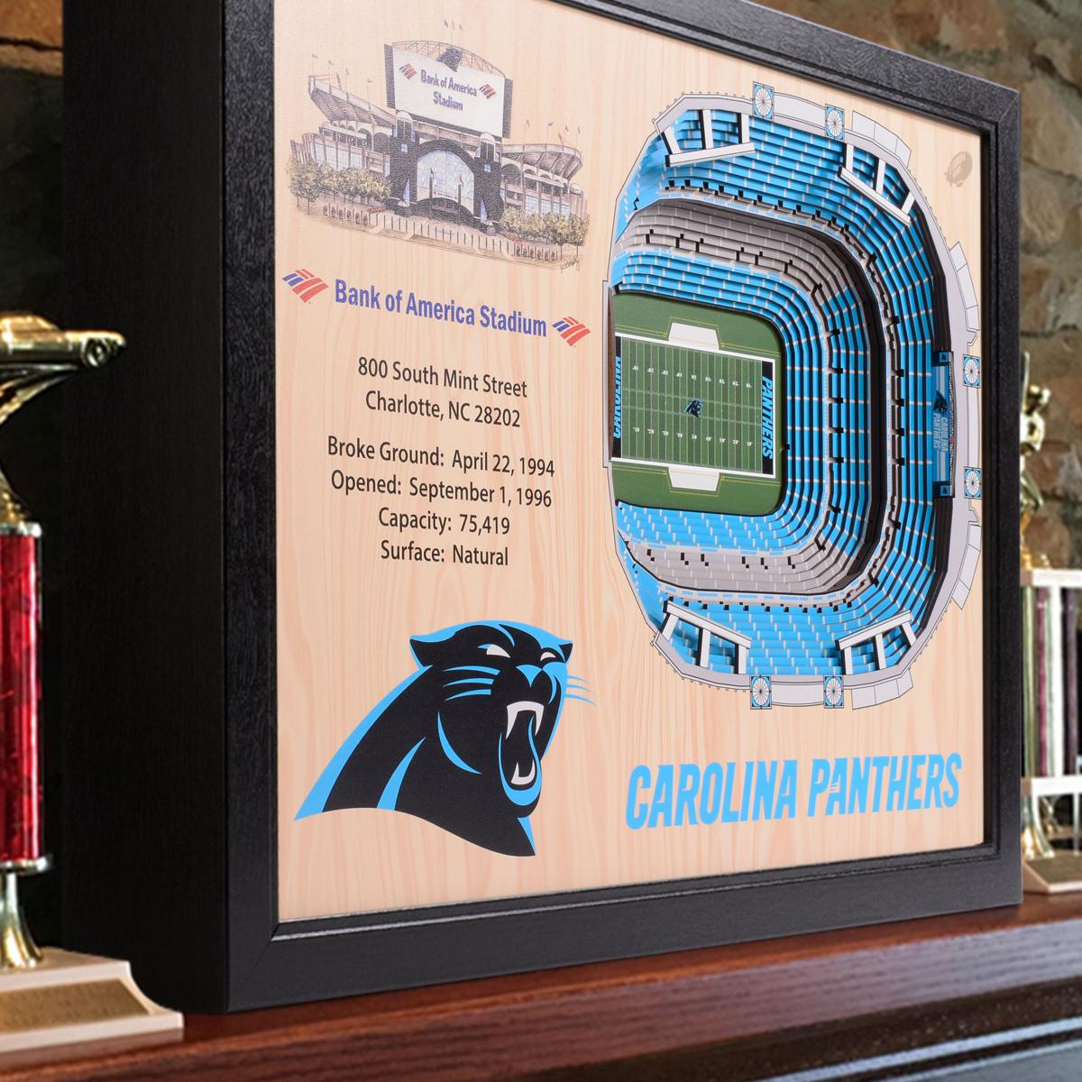 YouTheFan NFL Carolina Panthers 3D Logo Series Wall Art - 12x12