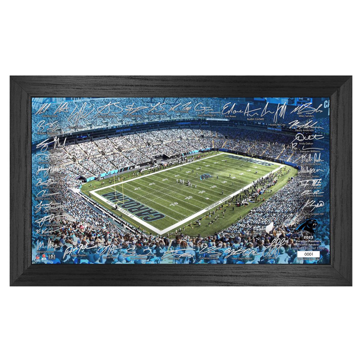 Atlanta Falcons vs. Carolina Panthers Framed 10 x 20 House