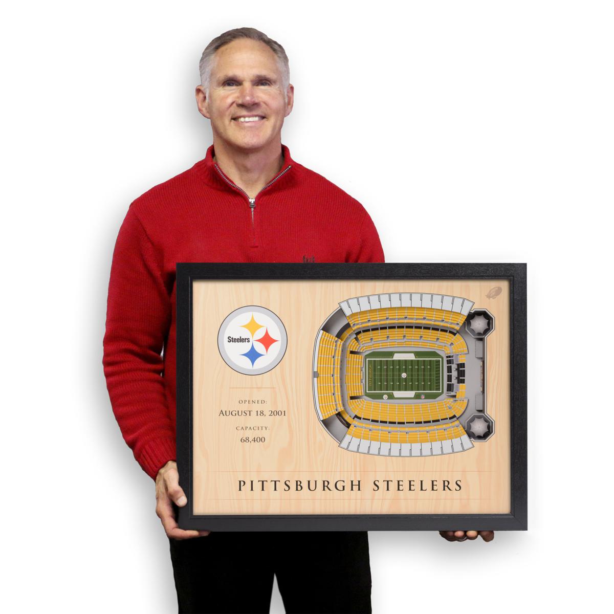 Officially Licensed NFL Pittsburgh Steelers StadiumView 3D Wall Art