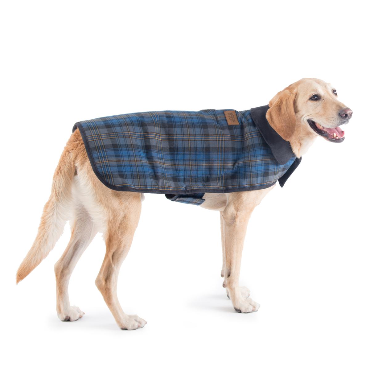 pendleton harding dog coat