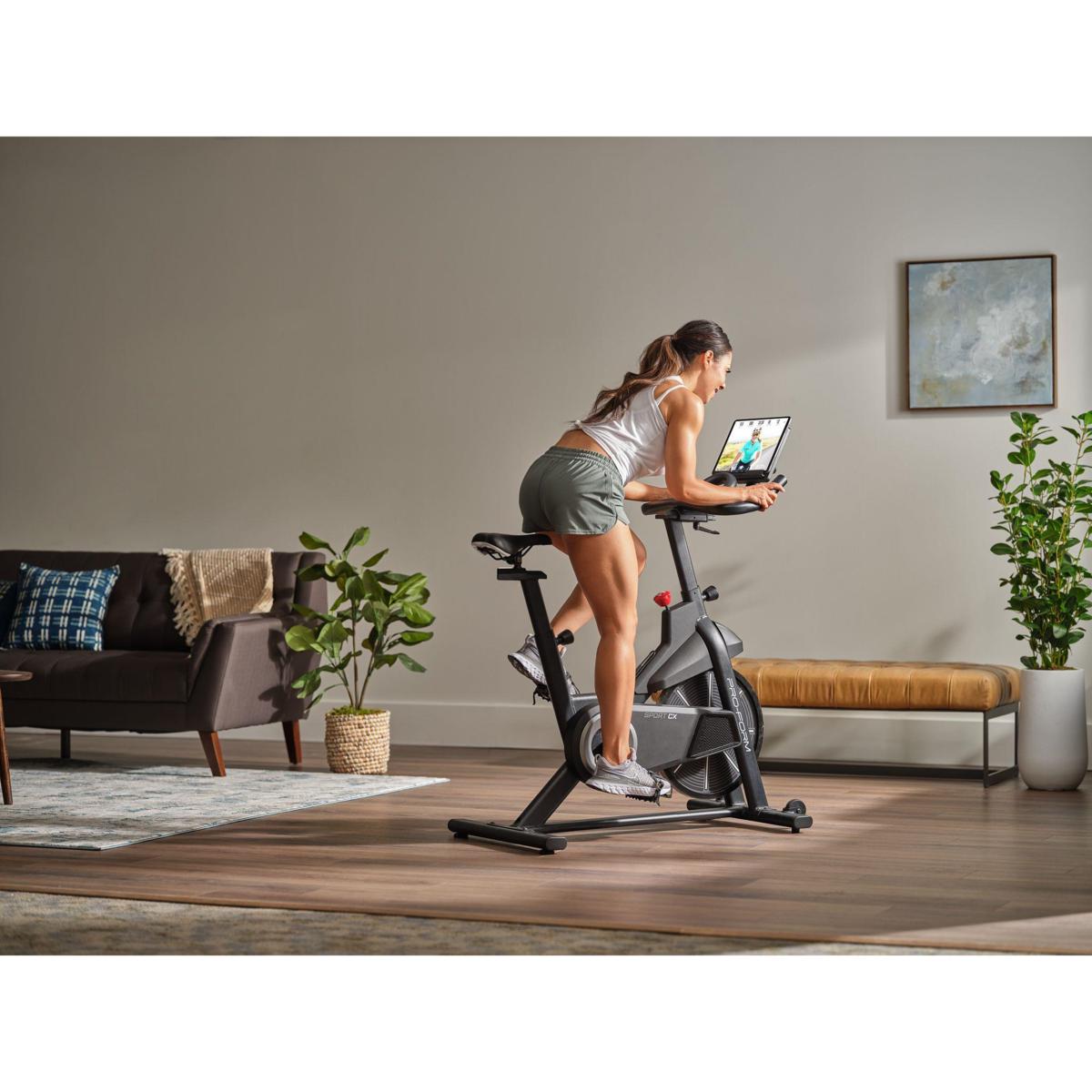 Proform foldable online bike