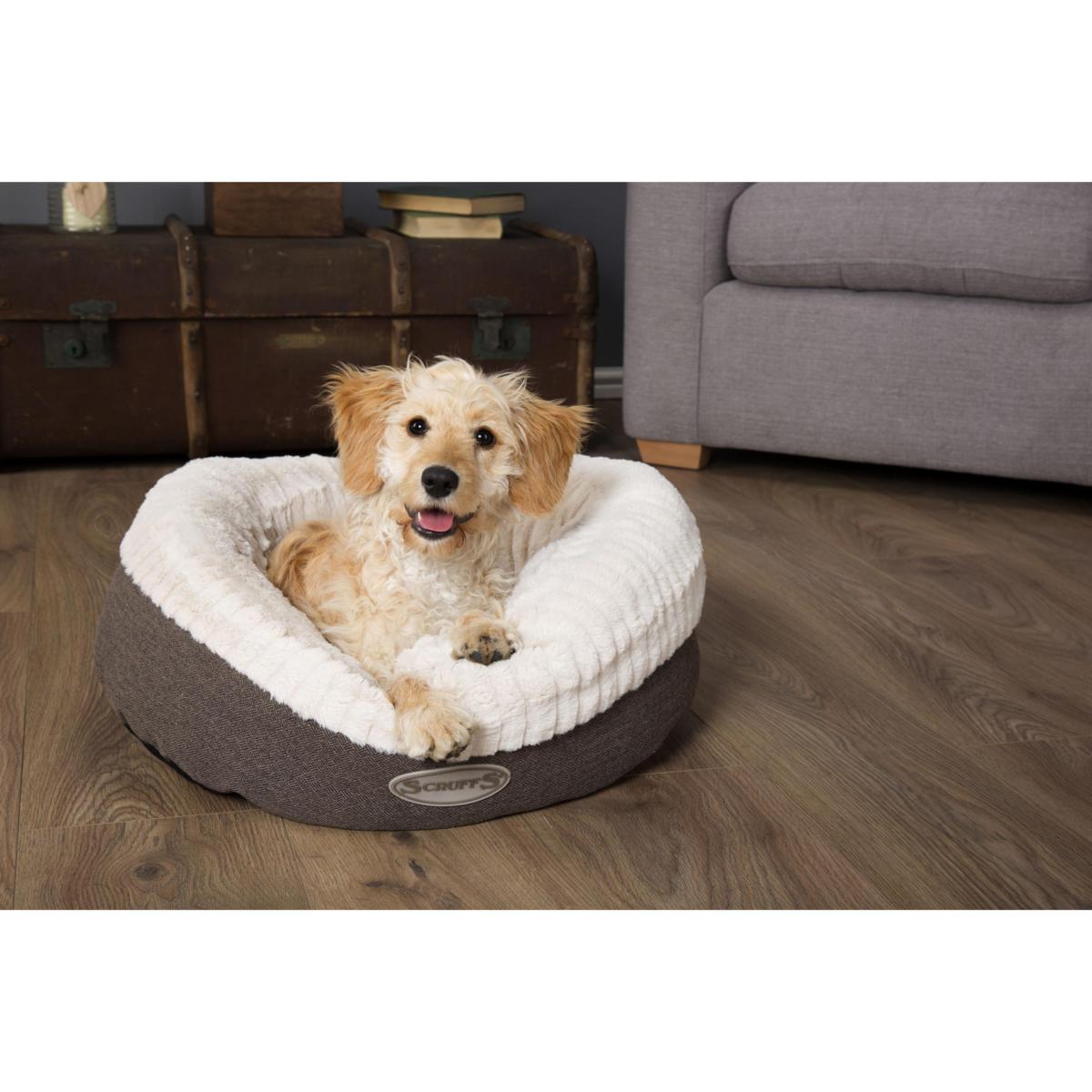 Grey dog clearance bed xl