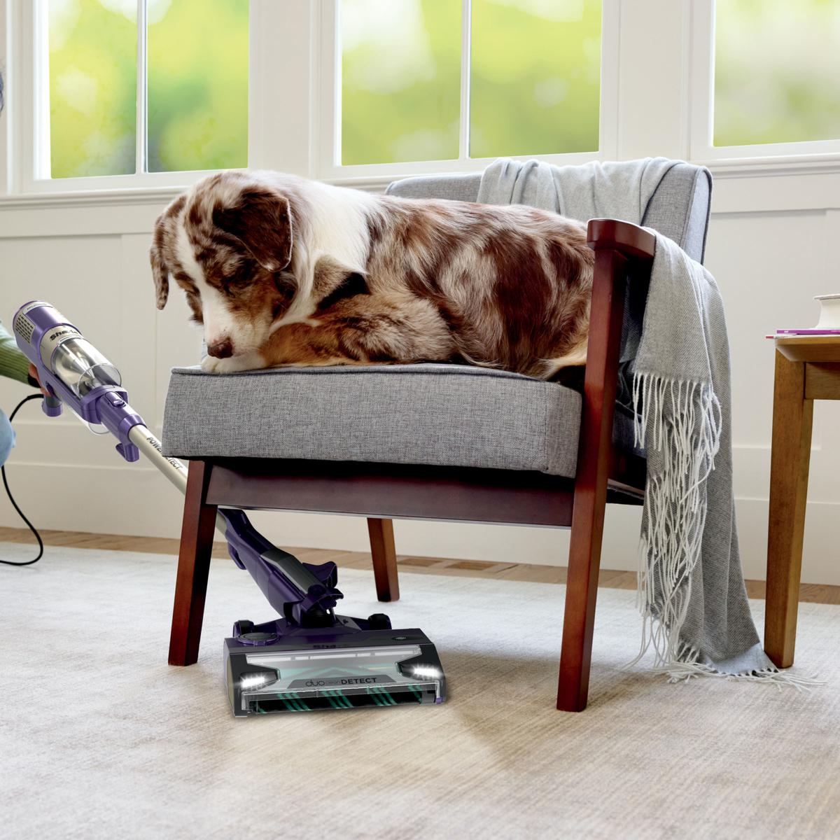 Shark PowerDetect Corded Stick Vacuum | HSN