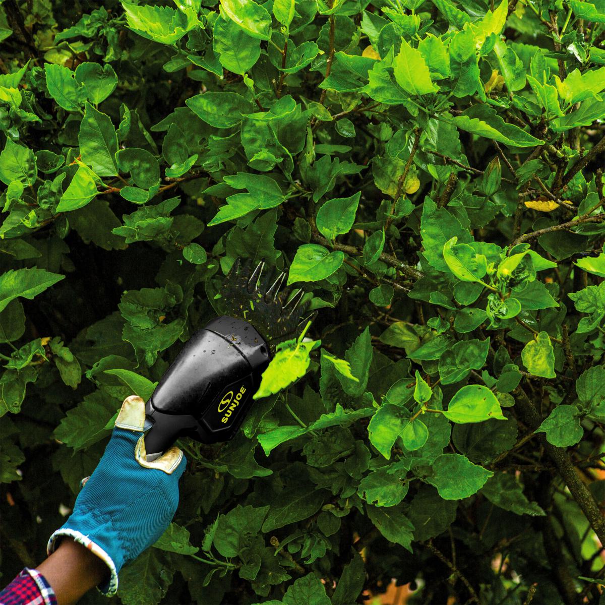 Sun Joe 7.2-Volt 2-in-1 Grass Shear Plus Hedge Trimmer | HSN