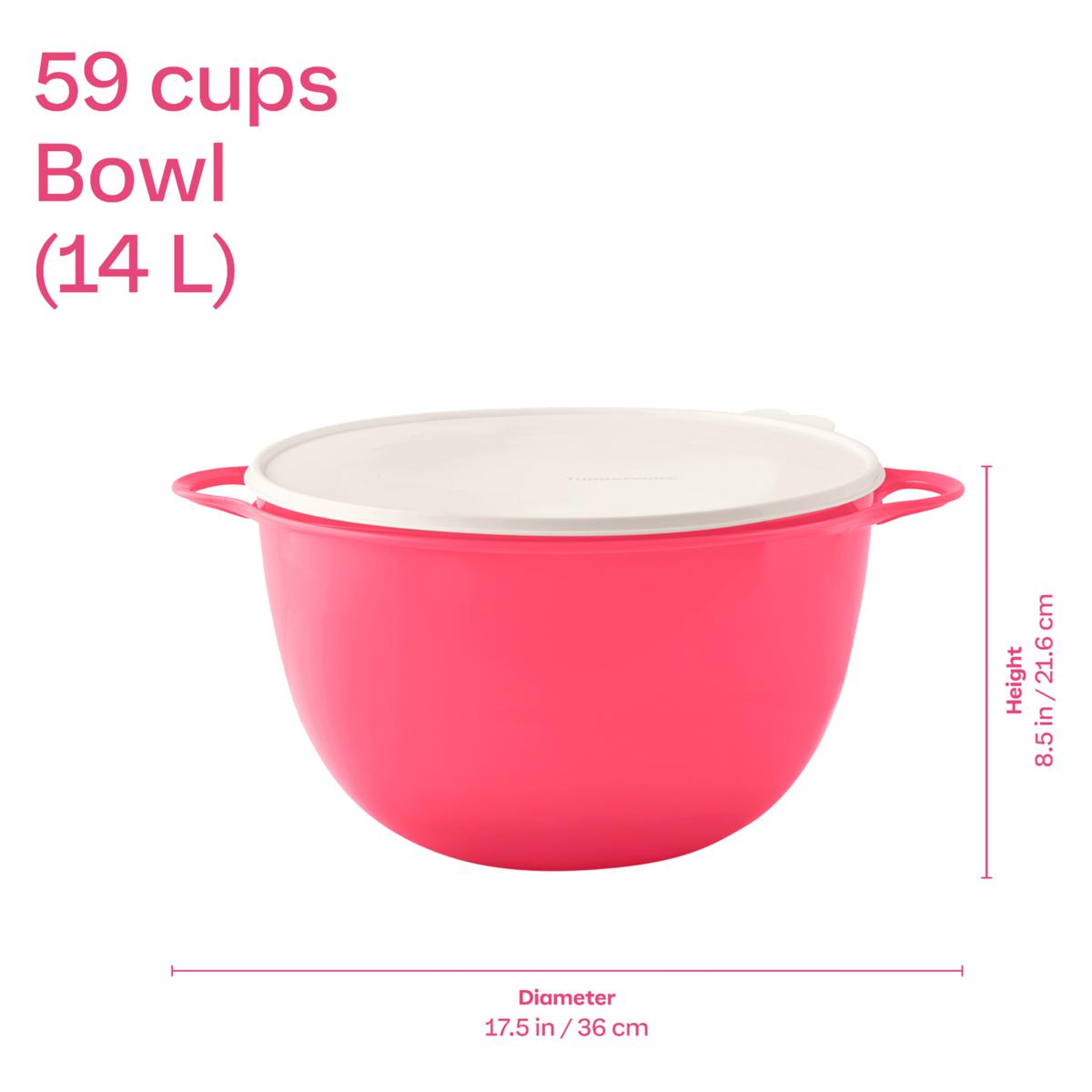 Tupperware® Thatsa® Jumbo 59-Cup Capacity Bowl with Lid - 23570587 | HSN