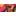 Black/Pink Multi