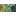 Navy/Chartreuse
