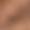 Brown Snake