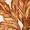 Golden Palm