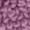 Lavender Purple