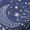 Navy Celestial