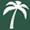 Palm Tree