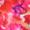 Pink Floral