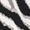 Winter White Zebra