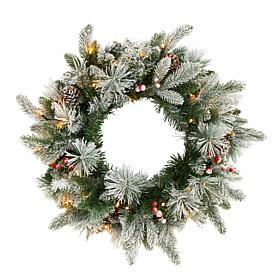 20 in. Flocked Mixed Pine Artificial Christmas Wreath with 50 LED L...