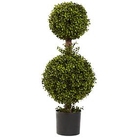 35 in. Double Boxwood Topiary