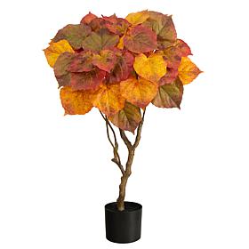 3Ft. Autumn Umbrella Ficus Tree