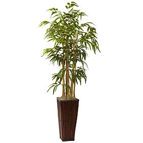 4 Ft. Bamboo with Decorative Planter