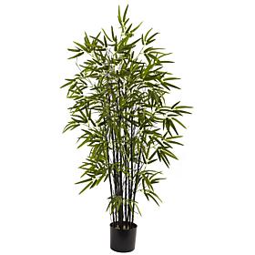 4 Ft. Black Bamboo Tree