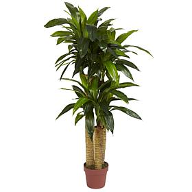 4 Ft. Corn Stalk Dracaena Silk Plant Real Touch