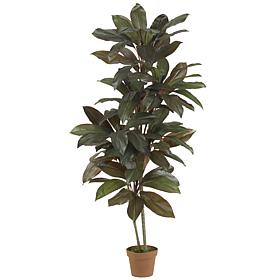 5 Ft. Cordyline Silk Plant Real Touch