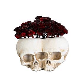 6-in Succulent Plant in Double Skull by Nearly Natural