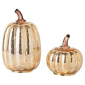 "As Is" August & Leo Set of 2 Illuminated Mercury Glass Pumpkins wi...
