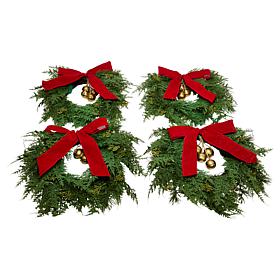 "As Is" Winter Lane Set of 4 14" Lit Wreaths