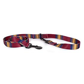 Carolina Pet Pendleton Zion National Park Adventure Leash