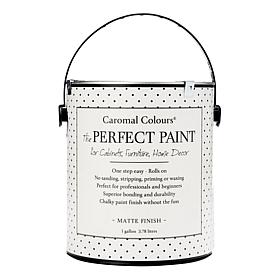 Caromal Colours Perfect Paint - 1 Gallon  