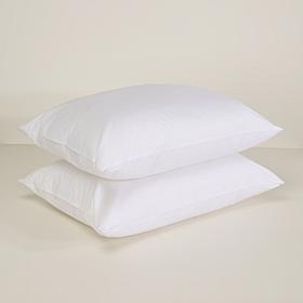 Concierge Collection 2-Pack Nano Feather Cotton Face Pillows Jumbo