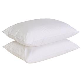 Concierge Collection 2-Pack Nano Feather Cotton Face Pillows Jumbo
