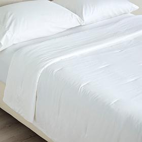 Concierge Collection Lyocell Silken Down Alternative Blanket King/C...