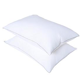 Emryn House Cotton Down Alternative 2-Pack Pillows Standard 20" x 28"